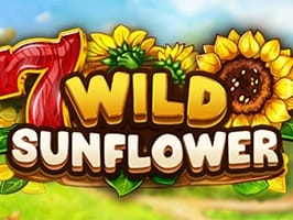 Wild Sunflower screenshot